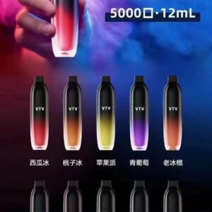 維特威 VTV 5000口 超耐抽超耐抽一次性電子菸/拋棄式小煙  陶瓷線圈霧化芯小菸 可充電🍬台灣現貨